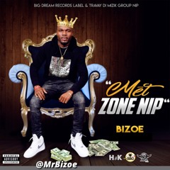 MET ZONE NIP