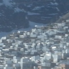 live: aport @ piękny pies 12.12.2025