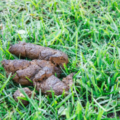 it's been a long time i did not do shit but...