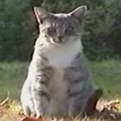 I hope you find what you're looking for