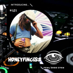 Introducing... Guest Mix #121 HoneyFingers
