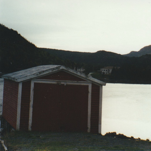 Förminskade Drömmar om Skogen