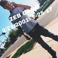 ZEB GANG (LONG LIVE MY NIGGAS)
