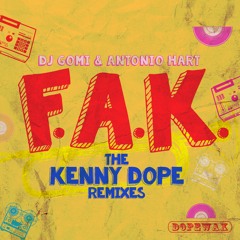 DJ Gomi & Antonio Hart - F.A.K. (Kenny Dope O'Gutta Dub) DOPEWAX RECORDS