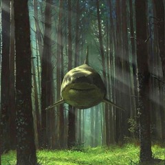 The Groombles- Flying Shark (intro)