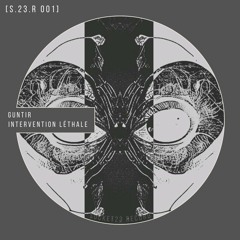 S.23.R [001-VA] - Guntir - Intervention Léthale