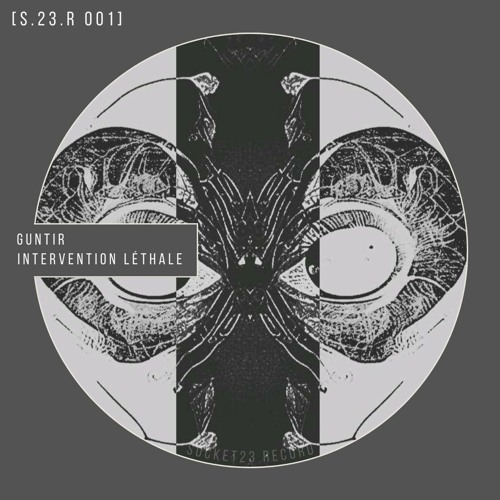 S.23.R [001-VA] - Guntir - Intervention Léthale