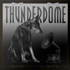 THUNDERDOME VINYL SERIES