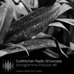 Sonogramma Podcast #6 – Sofist, Symphocat, Xandr.Vasiliev, R.Hz (Live)