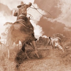 cowboy story - Instrumental