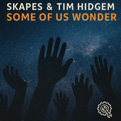 Skapes & Tm Hidgem - Some Of Us Wonder (Original Mix) - OUT NOW!