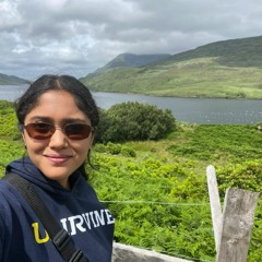 "Nenjame Nenjame" ~ A.R. Rahman (Sung by Meera Sriram and Sriram Srinivasan)