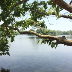 pwede ba - lola amour (complied!)