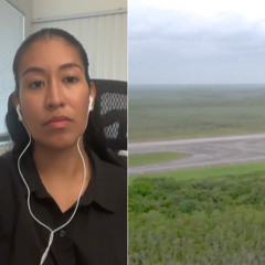 El “Alcatraz de los caimanes”: activistas de Florida rechazan la nueva cárcel para migrantes