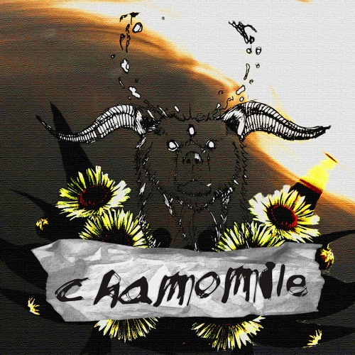 Chamomile - rradoboi & comedown  (Prod. TahaBeats)