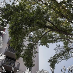 Eva Vozárová: Screaming Air