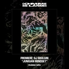 PREMIERE CDL || DJ Shulgin - Jungian Mindset [Pildoras Tapes] (2023)