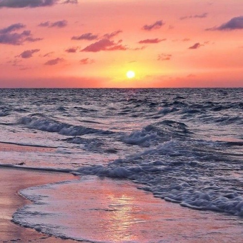 مفاتيح فتح الأسفار / نادر شوقي