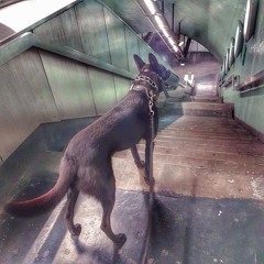 Ferry Corsten - Global Trancemissions 2