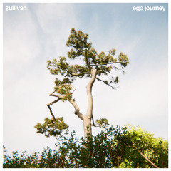 SEAGULLS (feat. Rae Khalil)