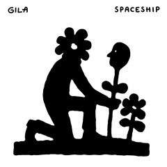Spaceship