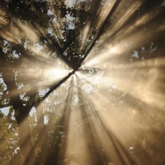 Whatever We Are - Your Light - LoLove Remix