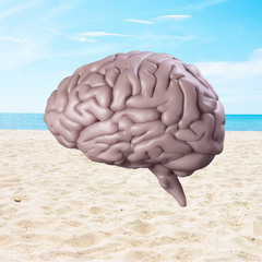 Elevated brain theme