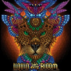 Liquid Bloom Live at Solstice Festival 2022