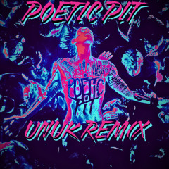 POETIC PIT - HOL! (UnuK Flip)