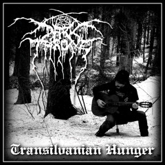 Soul Machine - Transilvanian Hunger (Darkthrone Acoustic Cover)