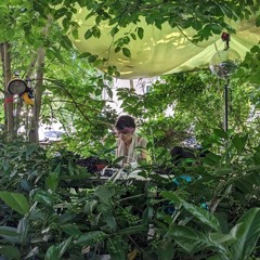 Live Set @ Summer Unlimited 22/06/24