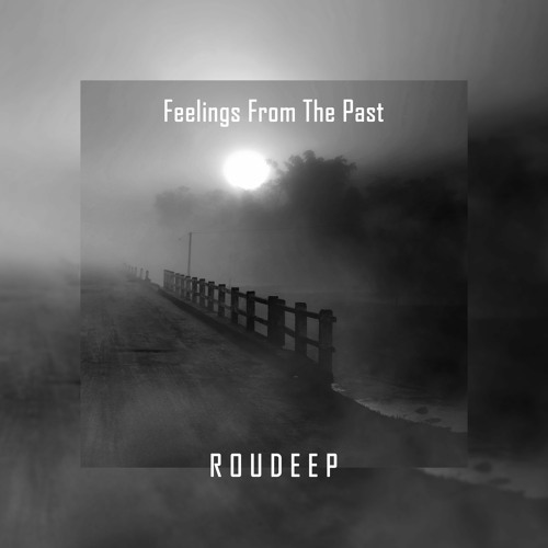 Roudeep - D.L.M