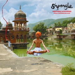 Shpongle - I Am You