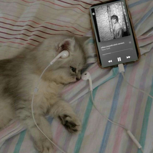 Listen To Music Albums Featuring Maeva Ghennam Thabiti Sped Up Tiktok Listen To Music Albums Featuring Maeva Ghennam Thabiti Sped Up Tiktok