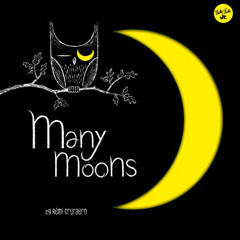 DOWNLOAD EPUB ✏️ Many Moons: Learn about the different phases of the moon by  Remi Co