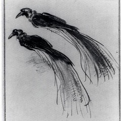 A Feather For Voltaire