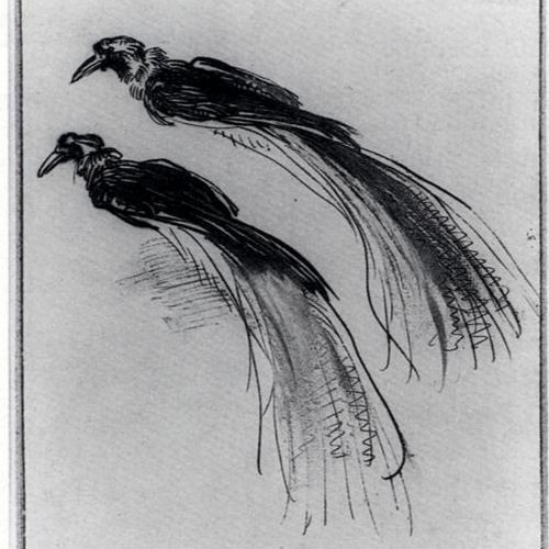 A Feather For Voltaire