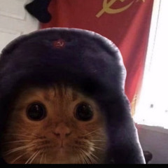 orion CO PROD A LING LING I MET IN CS2 (alix)