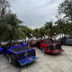 A PEDIDO DA FIRMA - FMNZS + TAVARES