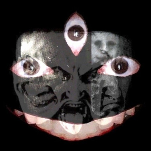 THE VOICES IN MY HEAD - NX