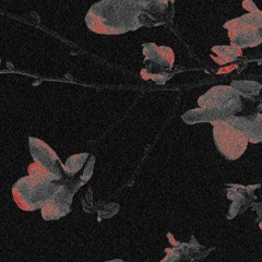 ◊ hello