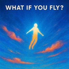 What If You Fly