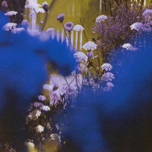 NOUA UNSPE - SPUNE-MI (Zernexa Bootleg Remix)
