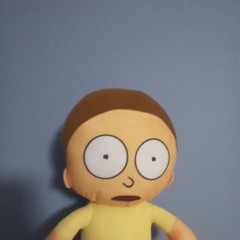 🔥 Vibes from Morty 🔥