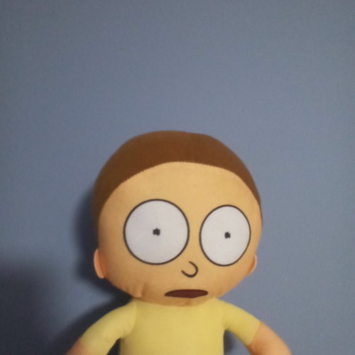 🔥 Vibes from Morty 🔥