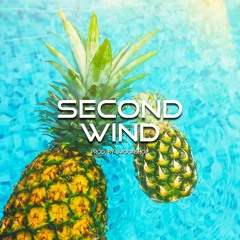 relaxed summer reggaeton dancehall beat SECOND WIND (prod. by swoonshop)