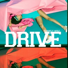 | DRIVE | The Rise | 80s retro beat | $50.00 L $200.00 E