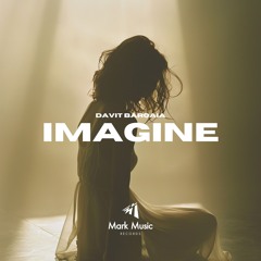 Davit Barqaia - Imagine