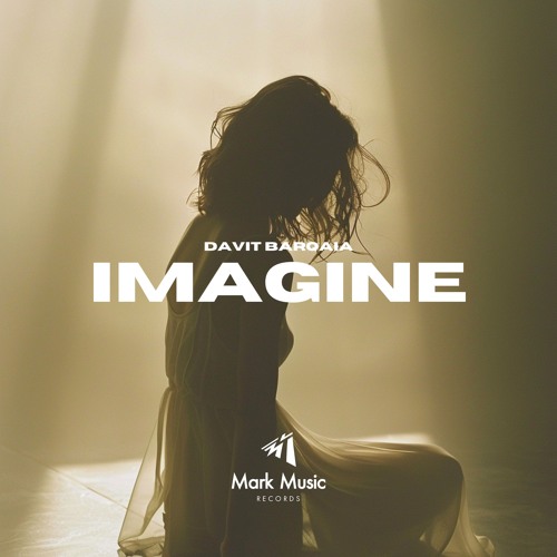 Davit Barqaia - Imagine