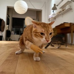 TrustKillersInTheJungle